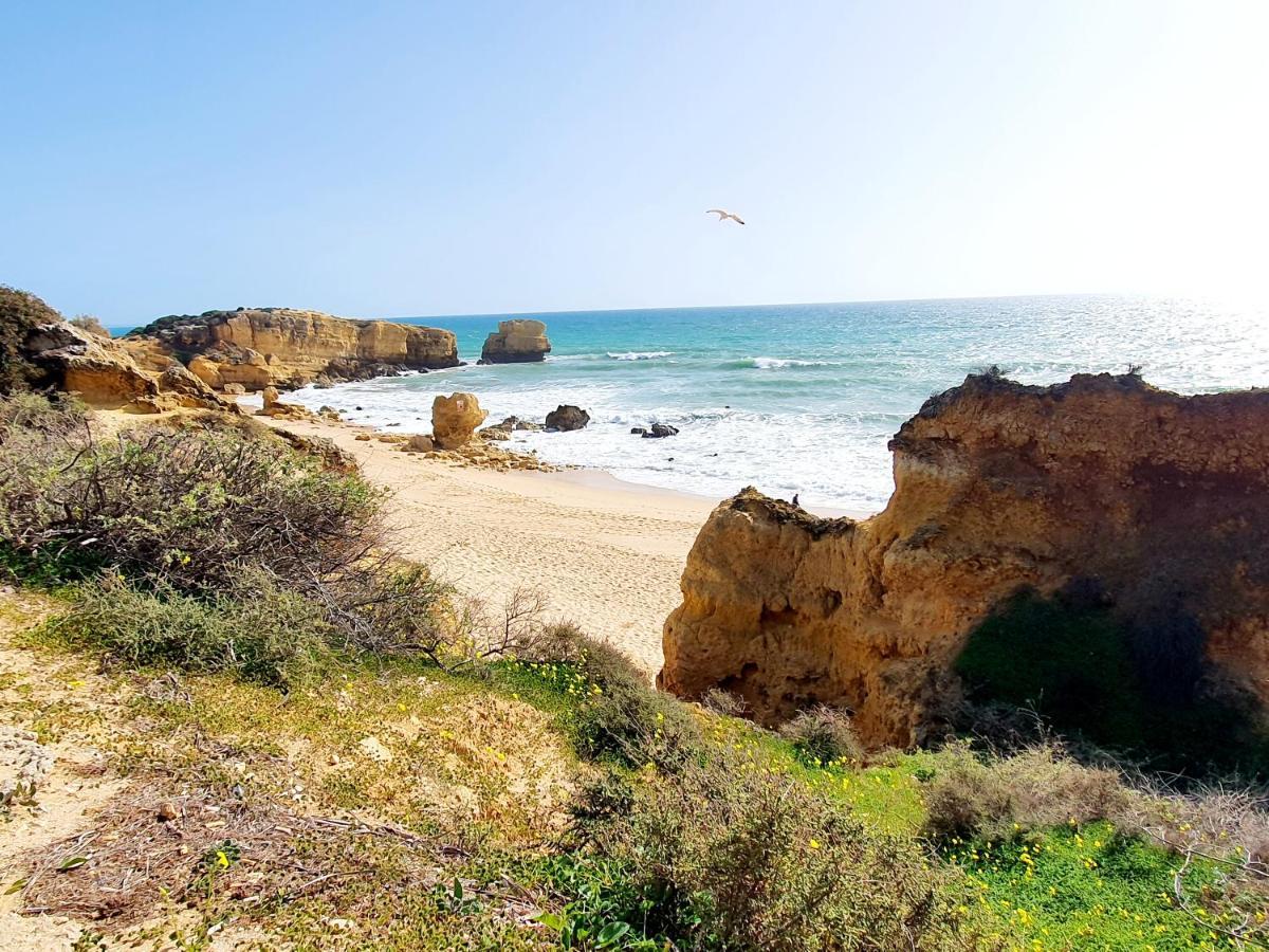 Canameira Beach - Albufeira Villa Eksteriør bilde